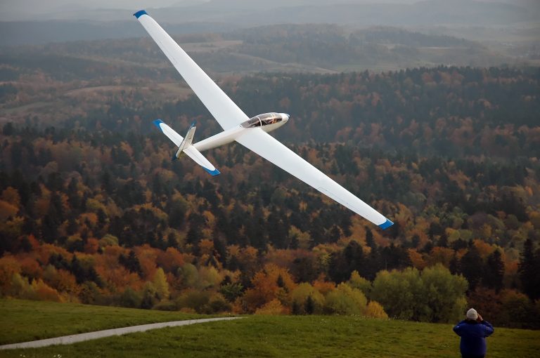 Five Early Gliders and the Evolution of Flight